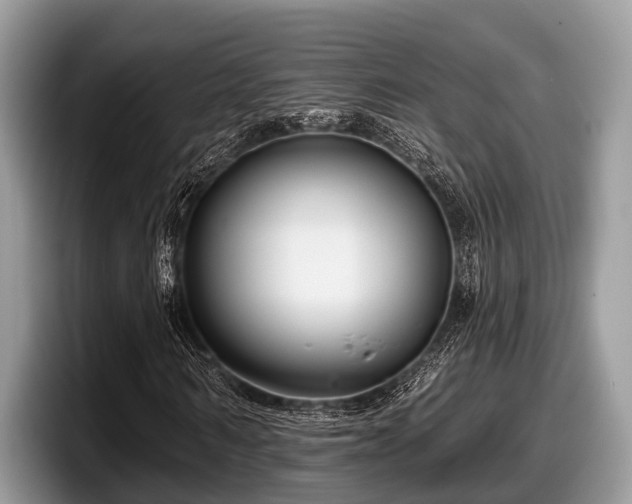 X0000097870962200803211311