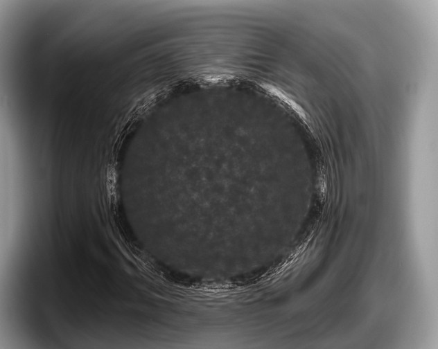 X0000097870964200803211311