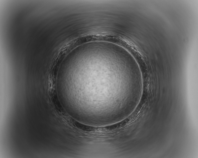 X0000097870966200803211311