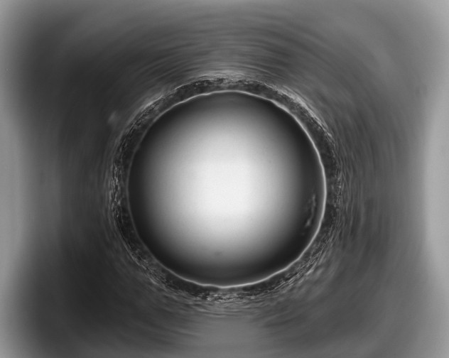 X0000097870967200803211311