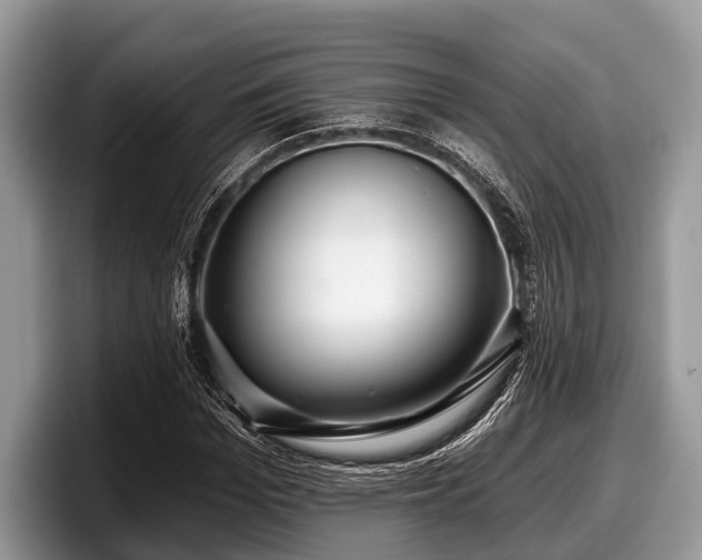X0000097870969200803211311