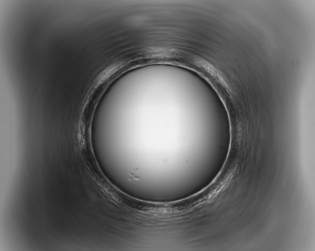 X0000097870970200803211311