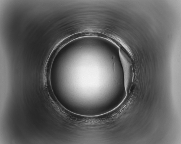 X0000097870972200803211311