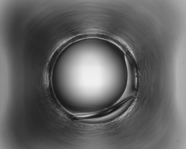 X0000097870973200803211311