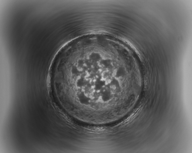 X0000097870975200803211311