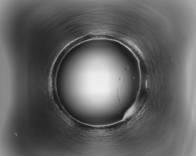 X0000097870976200803211311