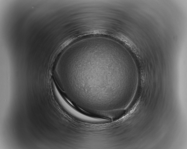 X0000097870977200803211311