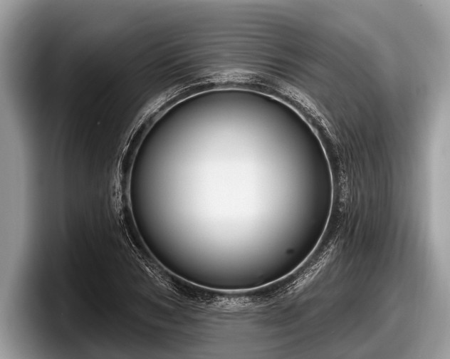 X0000097870978200803211311