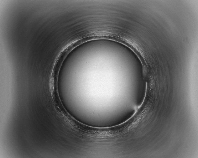 X0000097870979200803211311