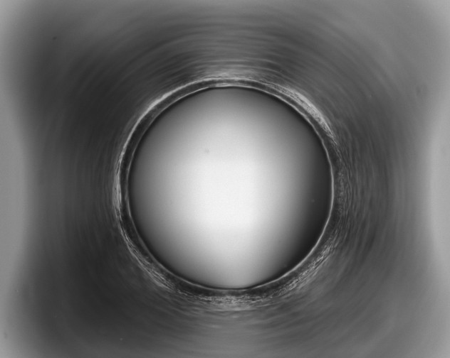 X0000097870980200803211311
