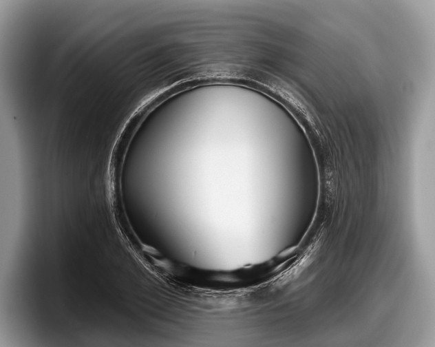 X0000097870981200803211311