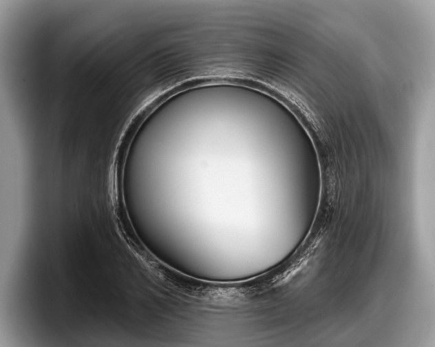 X0000097870982200803211311