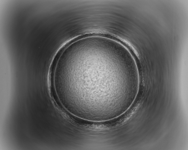X0000097870983200803211311