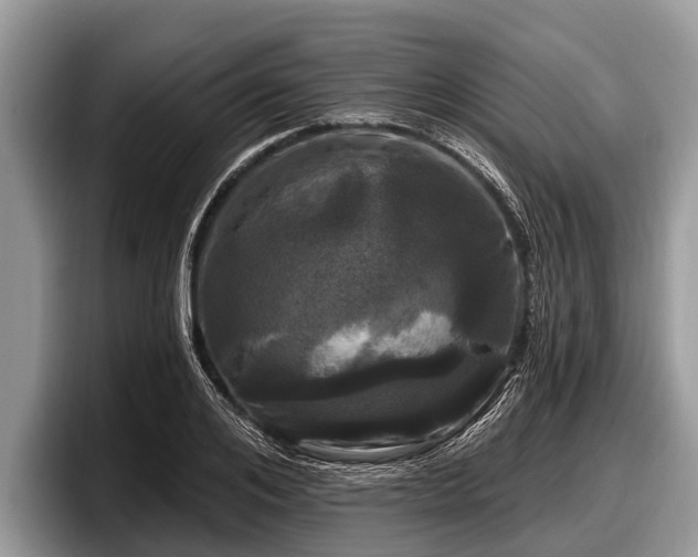 X0000097870984200803211311