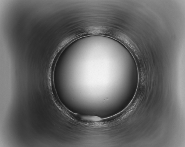 X0000097870986200803211311