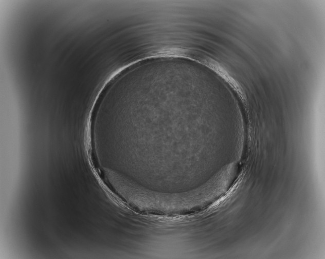 X0000097870988200803211311