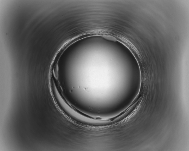 X0000097870989200803211311
