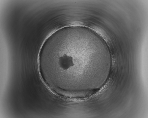X0000097870990200803211311