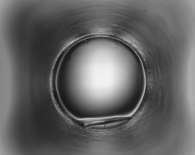 X0000097870991200803211311