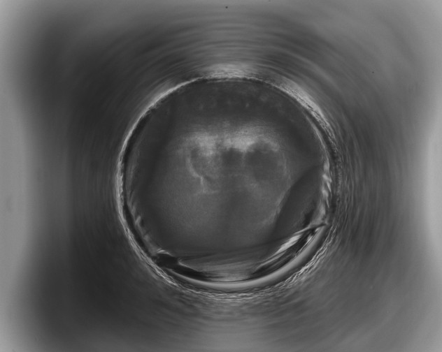 X0000097870992200803211310