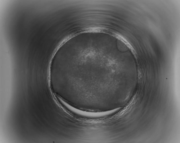 X0000097870994200803211310