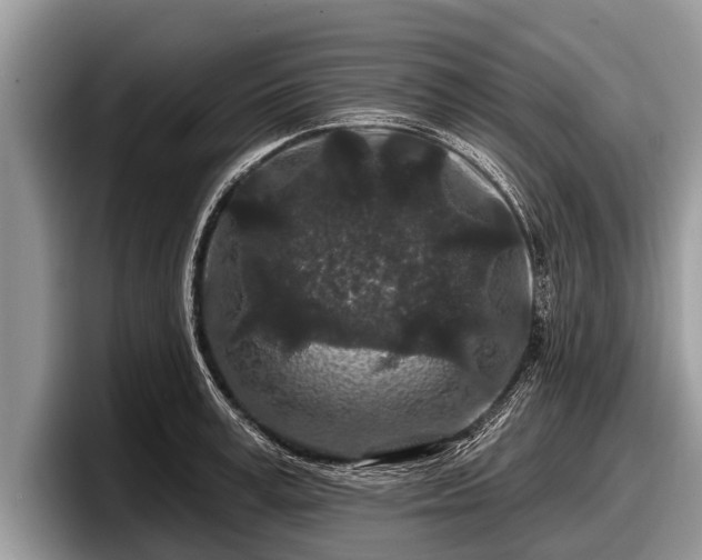 X0000097870995200803211310