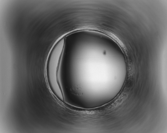 X0000097870996200803211310