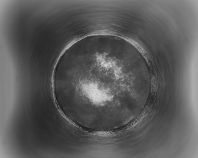 X0000097870998200803211310