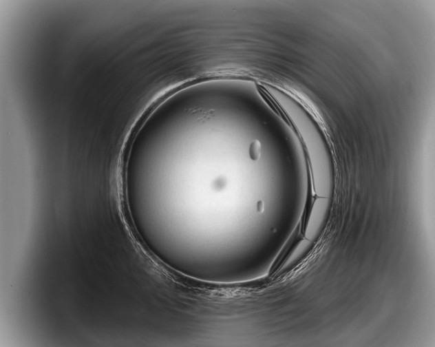 X0000097871000200803211310
