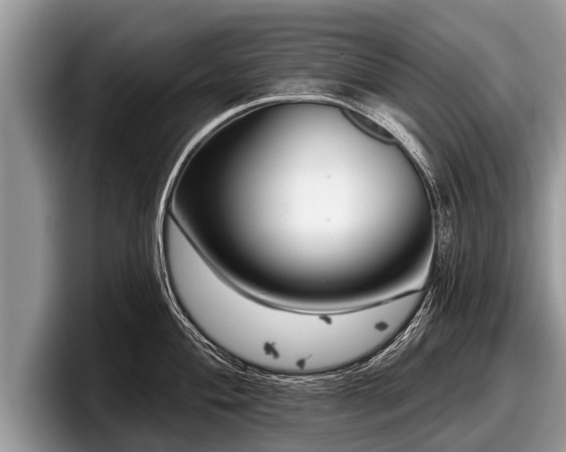 X0000097871004200803211310