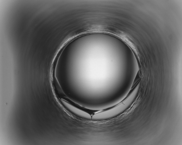 X0000097871005200803211310