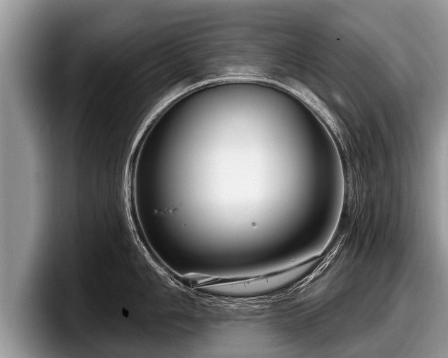 X0000097871006200803211310