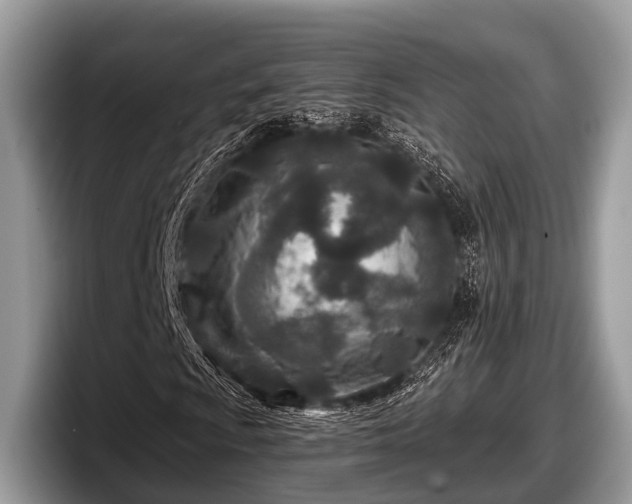 X0000097871009200803211310