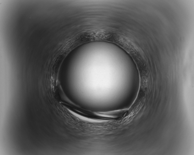 X0000097871010200803211310