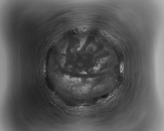 X0000097871011200803211310