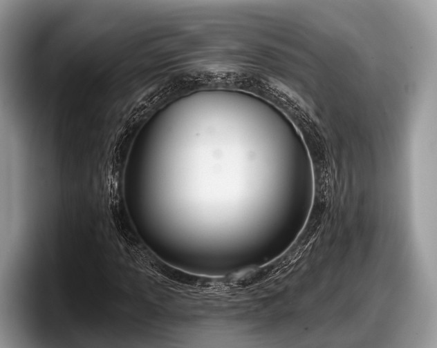 X0000097871013200803211310