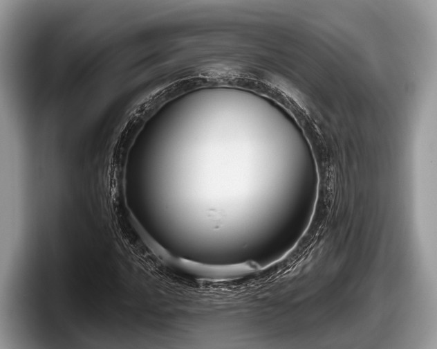 X0000097871016200803211310
