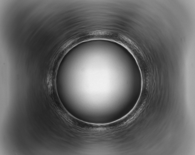 X0000097871017200803211310