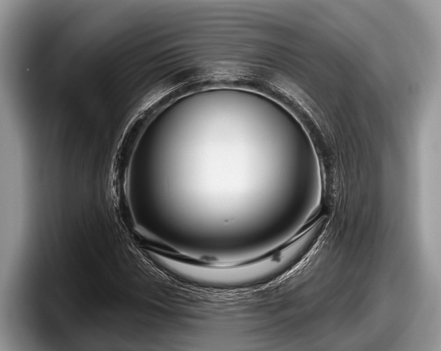 X0000097871018200803211310