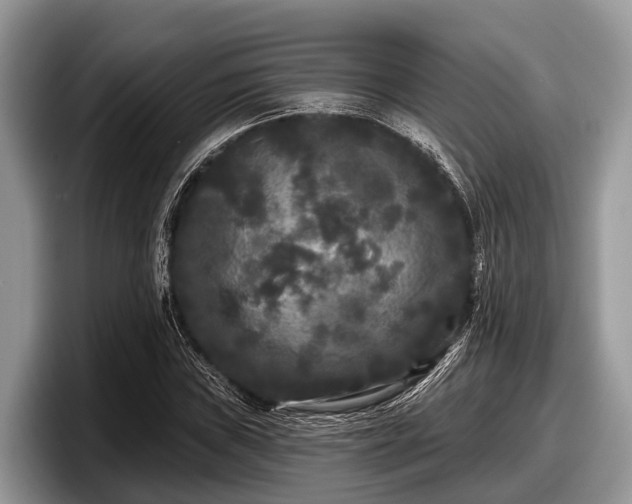 X0000097871019200803211310