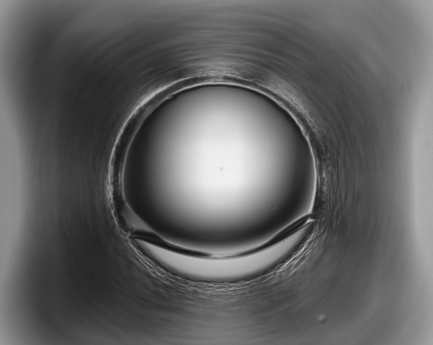 X0000097871020200803211310