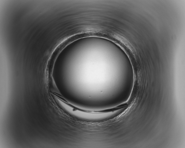 X0000097871021200803211310