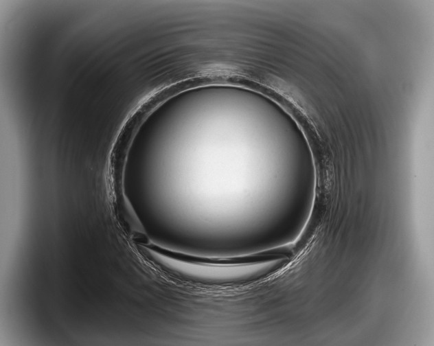 X0000097871022200803211310