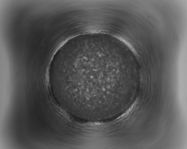X0000097871023200803211310