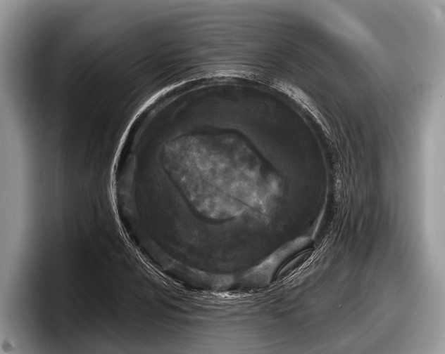 X0000097871024200803211310