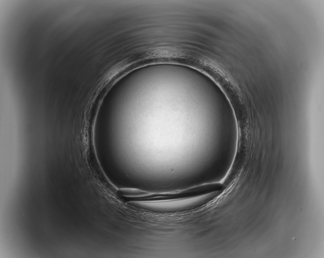 X0000097871025200803211310