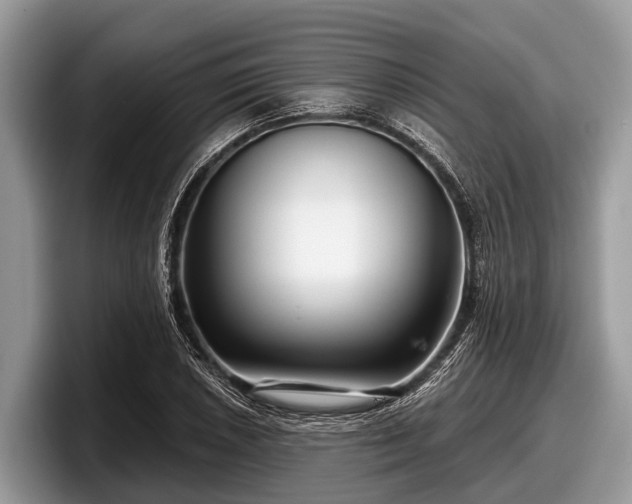 X0000097871026200803211310