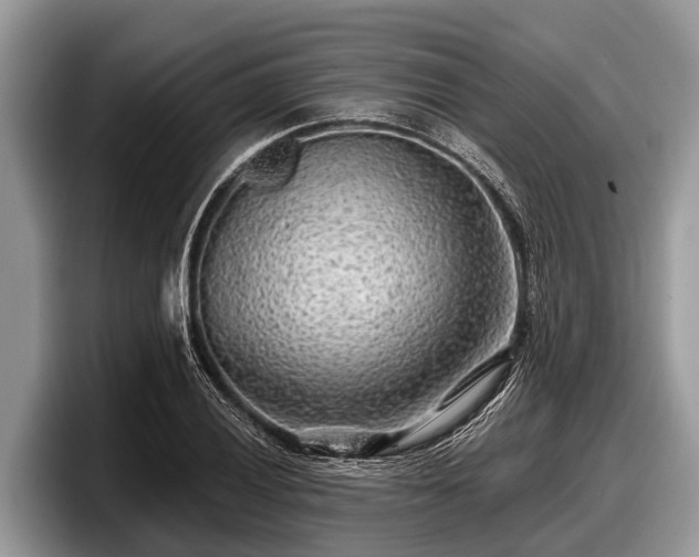 X0000097871028200803211310
