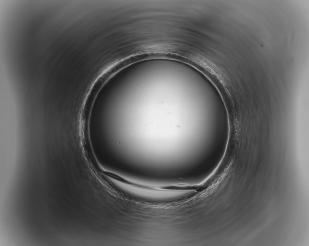 X0000097871029200803211310