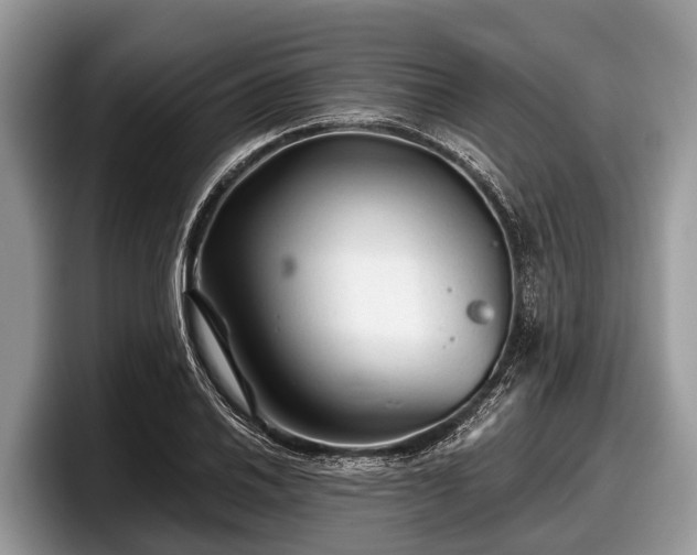 X0000097871030200803211310
